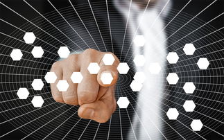 篮球专项技能动作视频教学资源开发及应用，篮球各项基本技术动作要领讲解